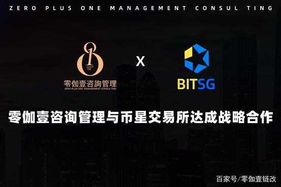 bitsg交易所