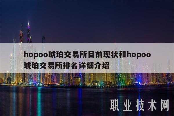 hopoo琥珀交易所