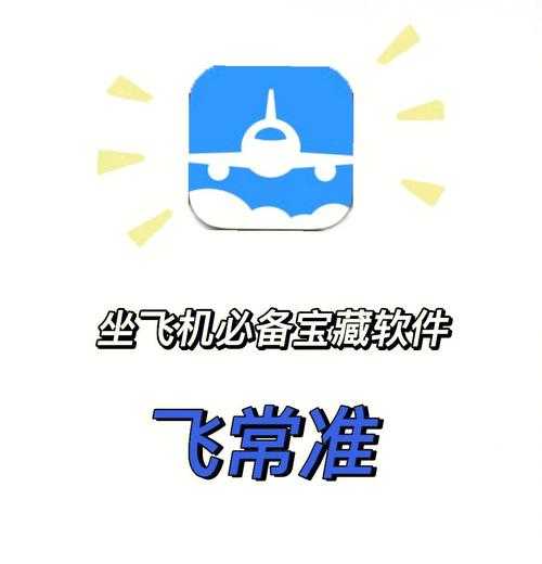 飞机app软件中文版安装