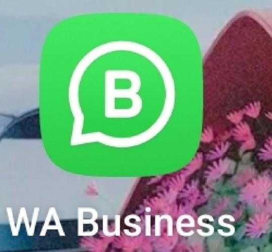 whatsapp官网版免费