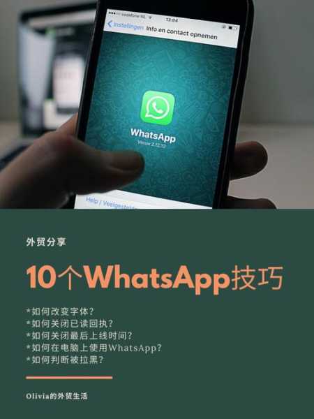 whatsapp手机版