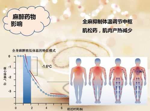 术中低体温预测模型