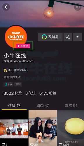 小牛直播直播平台app